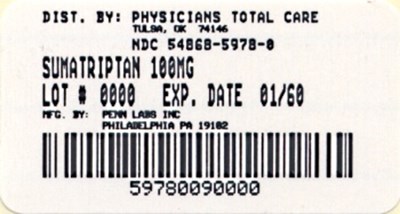 Image Of 100 mg Package Label (100mg Package Label)